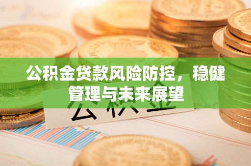 抚州公积金贷款风险防控，稳健管理与未来展望