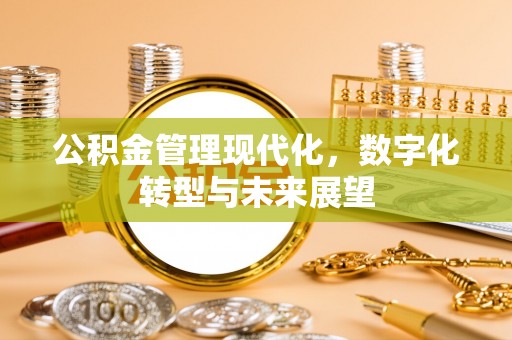 抚州公积金管理现代化，数字化转型与未来展望