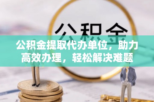 抚州公积金提取代办单位，助力高效办理，轻松解决难题