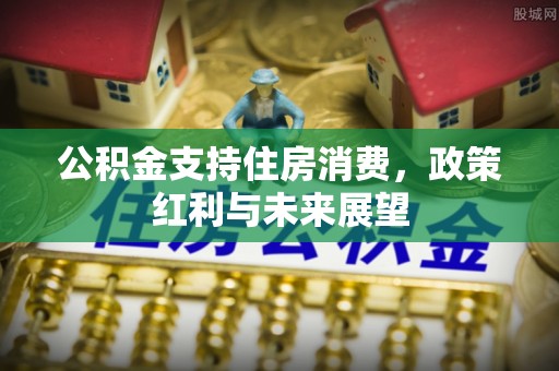 抚州公积金支持住房消费，政策红利与未来展望
